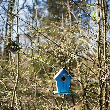 Сasa de vacaciones Bungalow 131 Durbuy